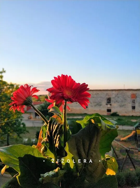 Apartmán Stancija Cervar Poreč